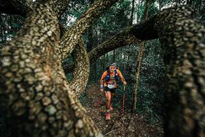 BIB: 
                            <button type="button" onclick="openModal(25393315)" class="btn btn-primary btn-sm float-right btn-popup" data-toggle="modal" data-target=".modal-high-quality">
                        <i class="fas fa-shopping-cart"></i> Add to Cart
                    </button>
                                            <button type="button" onclick="isThisMe(25393315, true)" class="btn btn-success btn-sm float-right btn-popup btn-isme hidden" data-toggle="tooltip" data-placement="bottom" title="นี่คือรูปของคุณใช่ไหม คลิกที่นี่เพื่อเอาเข้าอัลบั้ม">
                        <i class="fas fa-plus"></i> Add to album
                    </button>
                    <button type="button" onclick="isThisMe(25393315, false)" class="btn btn-warning btn-sm float-right btn-popup btn-isnotme hidden">
                        <i class="fas fa-ban"></i> Remove from album
                    </button>